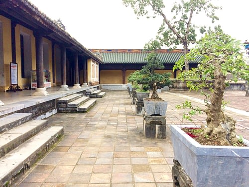 Bonsai Cultivation Art, Architecture, and Artifacts of Hue's Forbidden City Palace