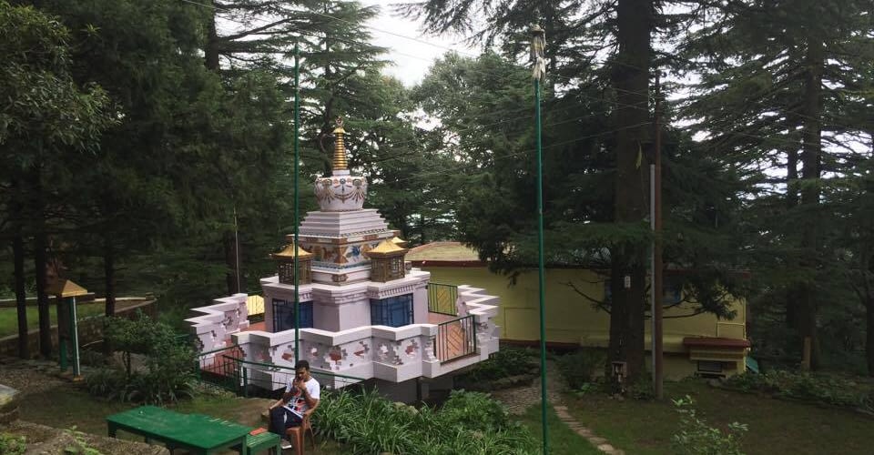 stupa, forest, town, area of mcloed ganj dharamsala for tushita meditation course intro to buddhism