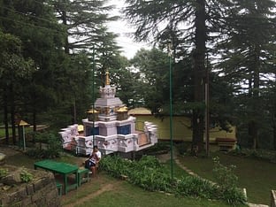 stupa, forest, town, area of mcloed ganj dharamsala for tushita meditation course intro to buddhism